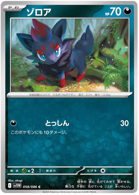 Zorua #058/086 (White Flare) (JP) — scan
