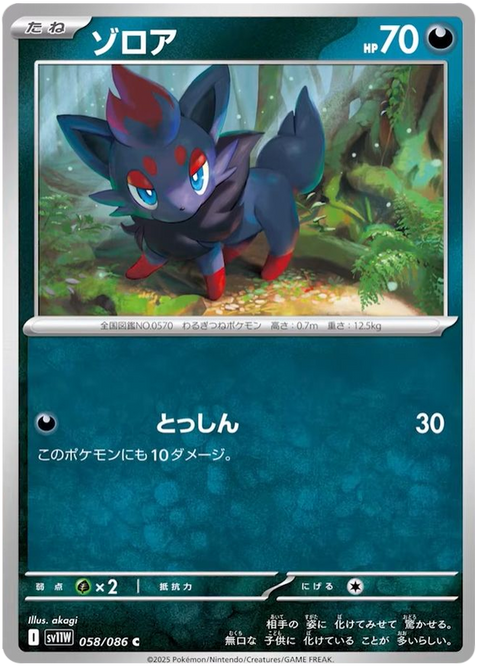 Zorua #058/086 (White Flare)