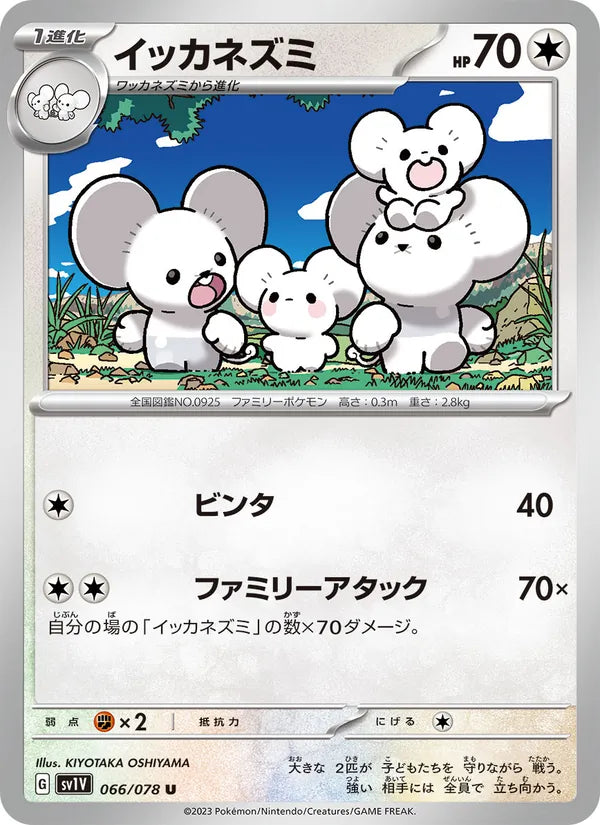Maushold #066/78 (Violet ex SV1V) (JP)