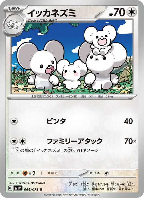Maushold #066/78 (Violet ex SV1V)