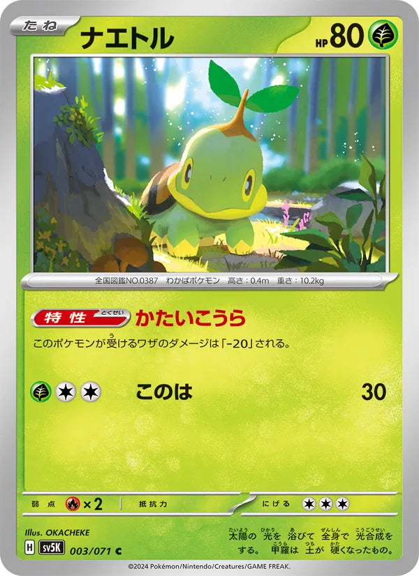 Turtwig #003/71 (Wild Force) (JP)
